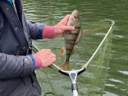 Neupfotzer Kopf / Schmugglermeer-4