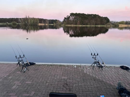 Schloßsee (Gifhorn)-2