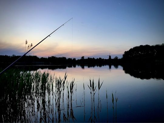 Schloßsee (Gifhorn) angeln