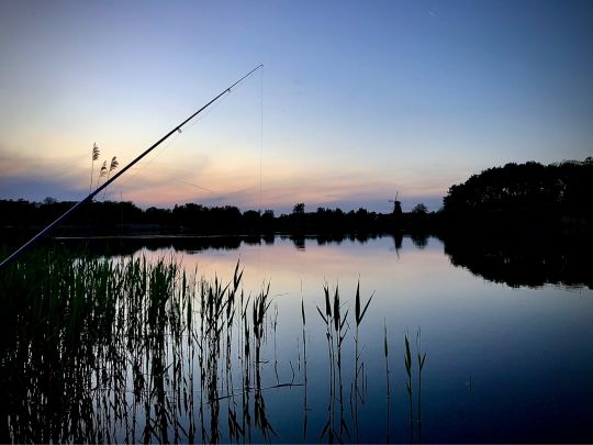 Schloßsee (Gifhorn)
