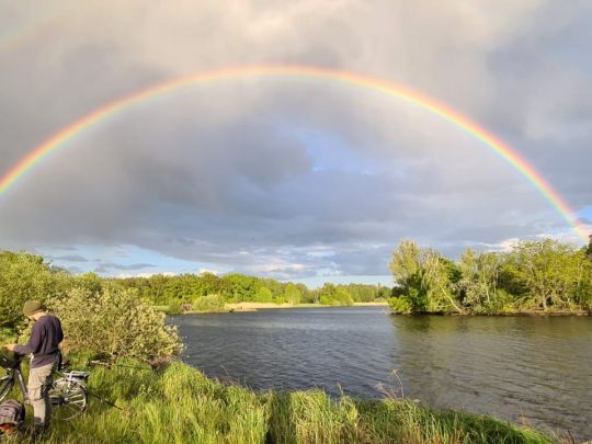 Schloßsee (Gifhorn)-1