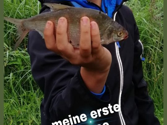 Schloßsee (Gifhorn)-3