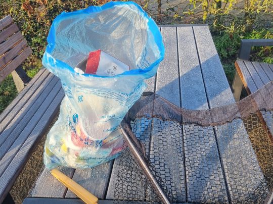 Schloßsee (Gifhorn)-4