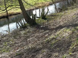 Pfinz (Karlsruhe-Durlach)