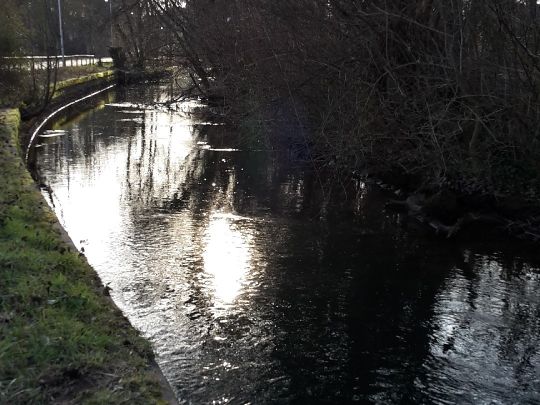 Pfinz (Karlsruhe-Durlach)-1