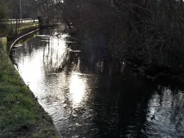 Pfinz (Karlsruhe-Durlach)-1