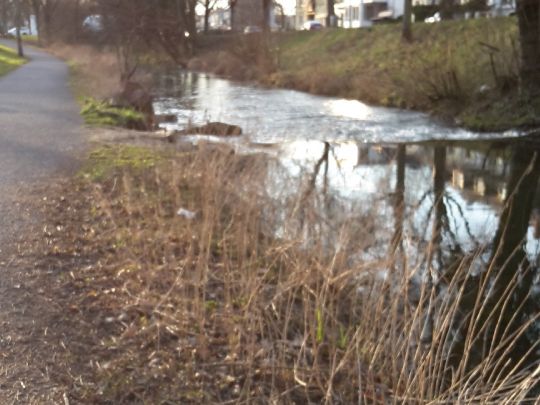 Pfinz (Karlsruhe-Durlach)-0