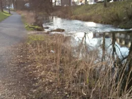 Pfinz (Karlsruhe-Durlach)-2