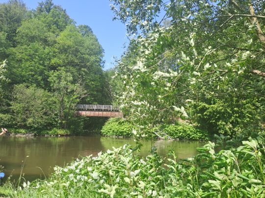 Zschopau (Mittweida)-4