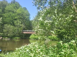 Zschopau (Mittweida)-4