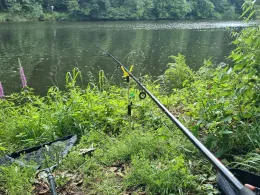 Zschopau (Mittweida)-2