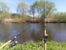 Zwickauer Mulde (Langenbach)-1