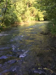 Seckach (Roigheim)-1