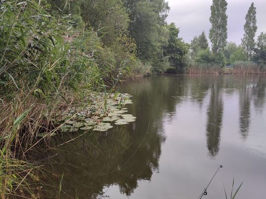 Lehmgrube Neukirchen/Erzgeb.-4