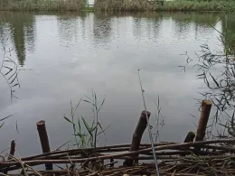 Lehmgrube Neukirchen/Erzgeb.-1