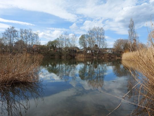 Lehmgrube Neukirchen/Erzgeb.-2