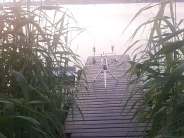 Großer Müllroser See-1