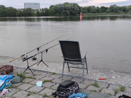 Süderelbe (Hamburg-Harburg)-3