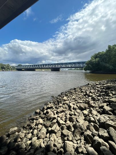 Süderelbe (Hamburg-Harburg)-1