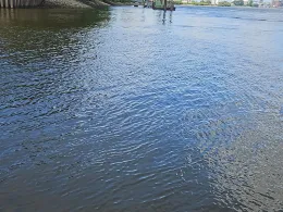 Süderelbe (Hamburg-Harburg)-4