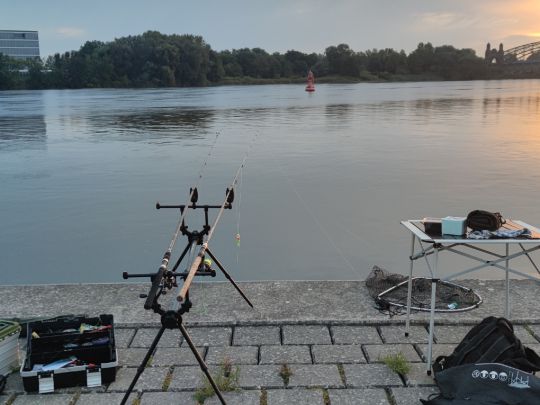 Süderelbe (Hamburg-Harburg)-2