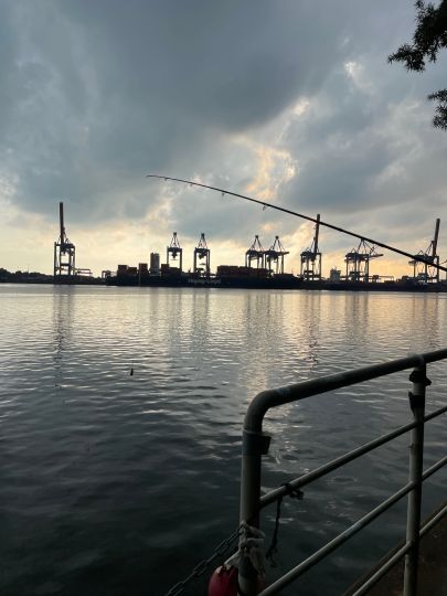 Süderelbe (Hamburg-Harburg)-3