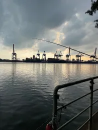 Süderelbe (Hamburg-Harburg)-3