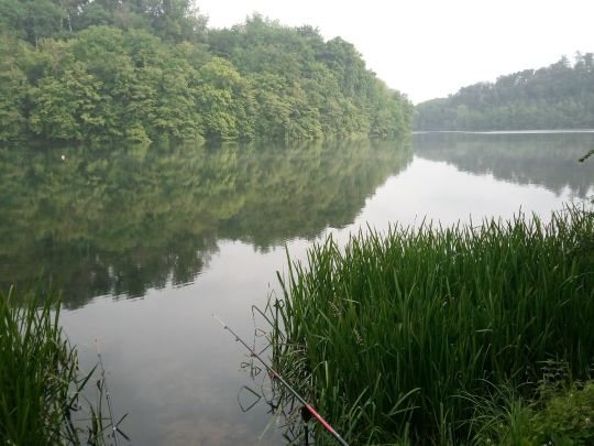 Twistestausee angeln