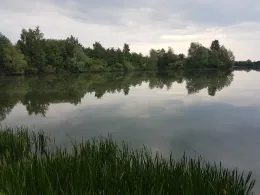 Bierder See (Petershagen)-3