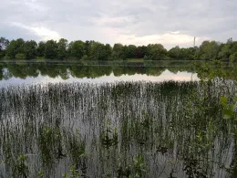 Bierder See (Petershagen)-2