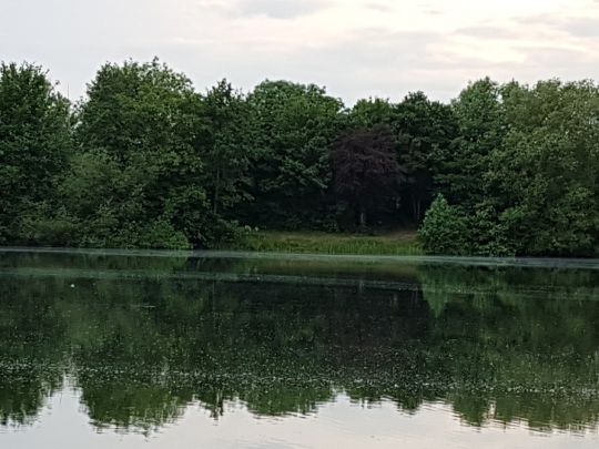 Bierder See (Petershagen) angeln