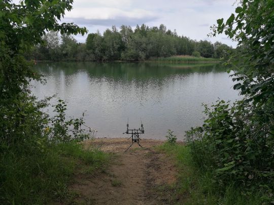 Bierder See (Petershagen) angeln