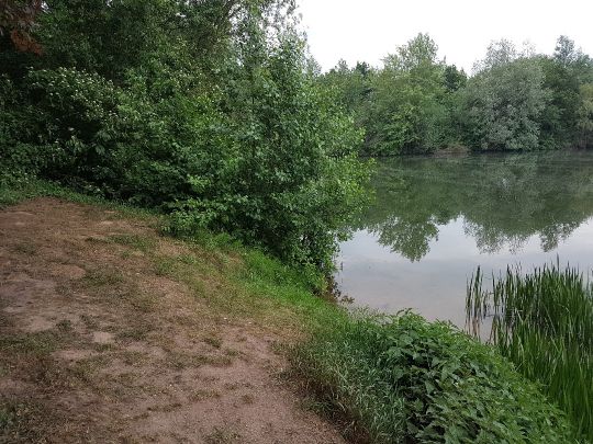 Bierder See (Petershagen)-4