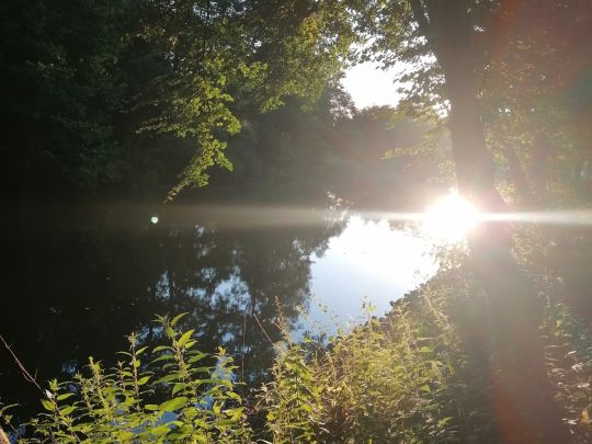 Finowkanal (Finow)-4