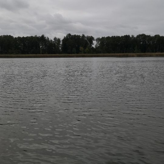 Altwigshagener See-2