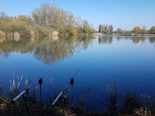 Großer Wülfeler/Detmarscher Teich ALLE ANGELN