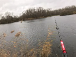 Großer Wülfeler/Detmarscher Teich-3