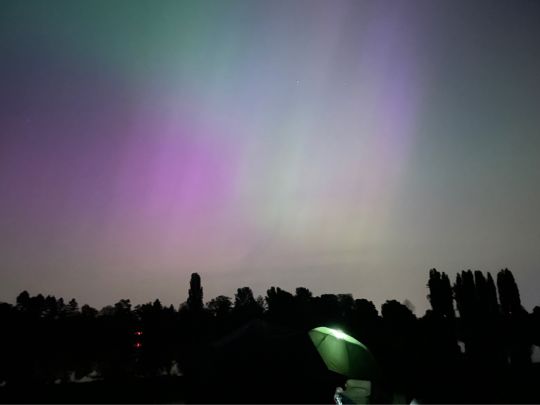 Großer Wülfeler/Detmarscher Teich-2