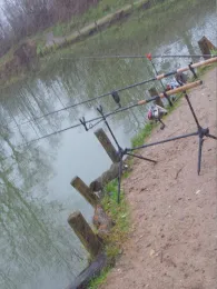 Forellenhof Wester-Ohrstedt-3