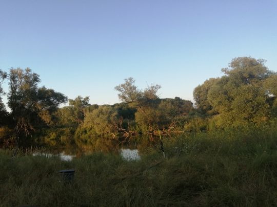 Alte Mulde (Friedersdorf)-1