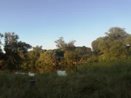 Alte Mulde (Friedersdorf)-1