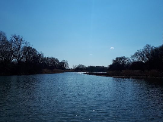 Alte Mulde (Friedersdorf)