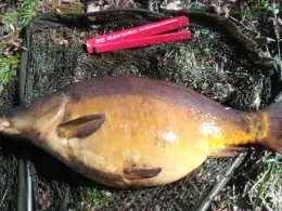 Asbach (Schmalkalden)-0