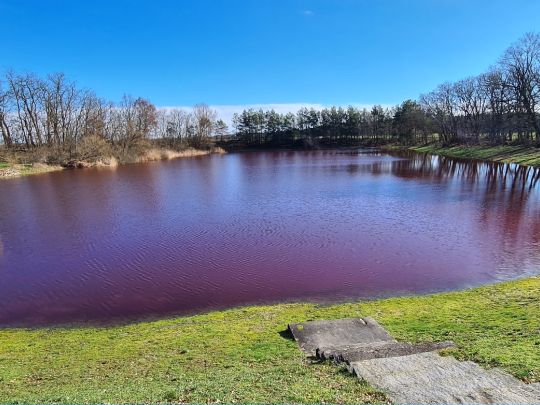 Frankenhainer Teich-1