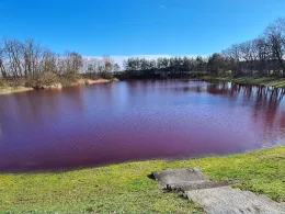 Frankenhainer Teich-1