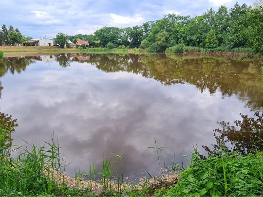 Frankenhainer Teich-2