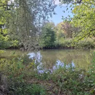 Pegnitz (Reichenschwand)-1