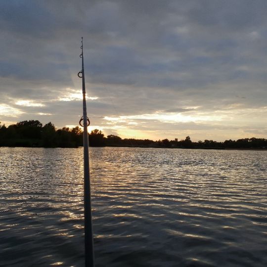 Mainparksee