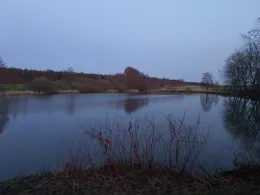 Ziegeleiteich Fremdiswalde-1