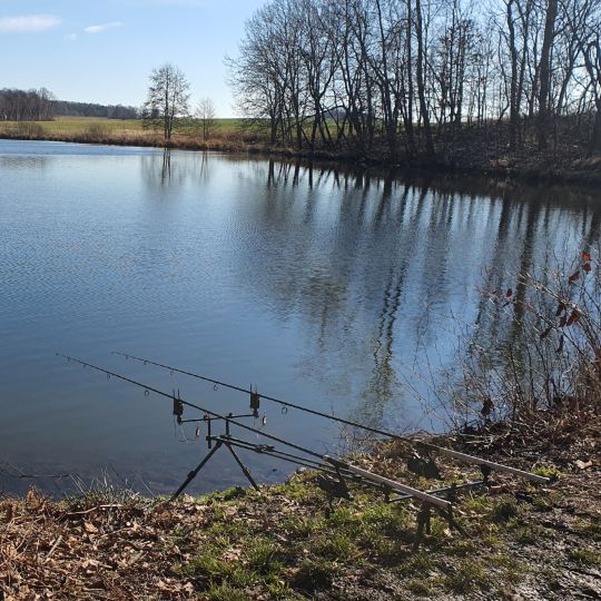 Ziegeleiteich Fremdiswalde-3